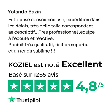 Trustpilot avis
